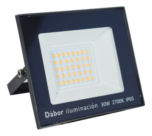 Reflector Led 30w Exterior Ip65 Luz Fría/cálida Dabor. Negro Blanco Frío